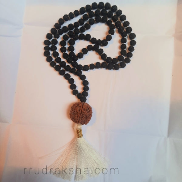 Nepali 5 Mukhi Rudraksha with Black Rudraksha Mala