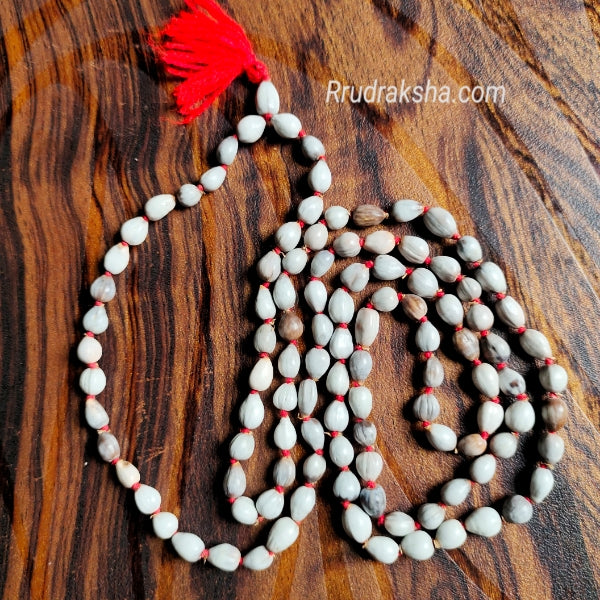 Vaijanti Mala For Victory And Success