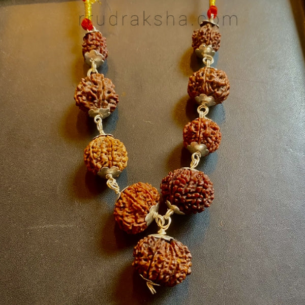 Nav Grah Rudraksha Kawach - Certified