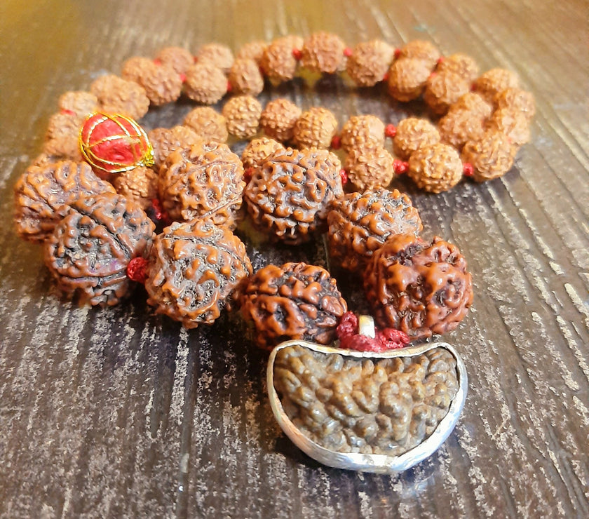 1 3 4 5 6 Mukhi Combination Rudraksha Mala