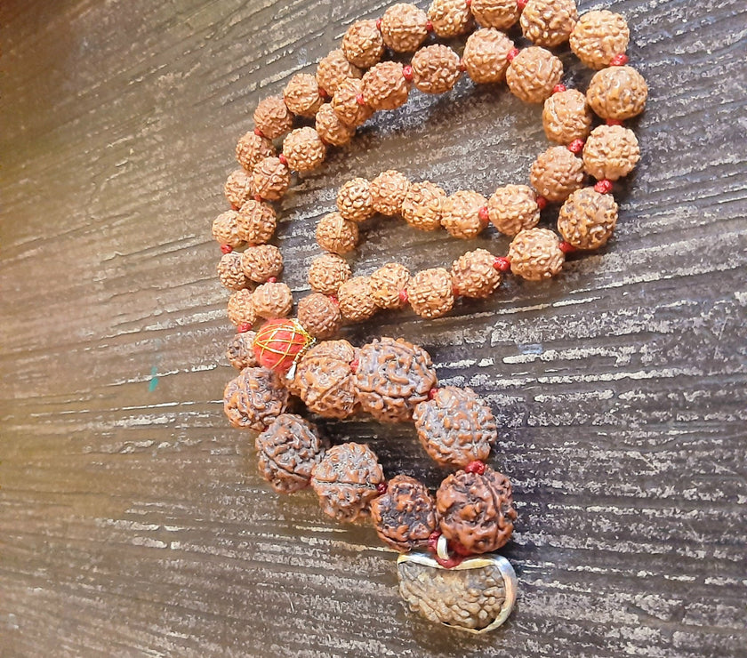 1 3 4 5 6 Mukhi Combination Rudraksha Mala