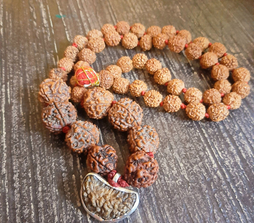 1 3 4 5 6 Mukhi Combination Rudraksha Mala