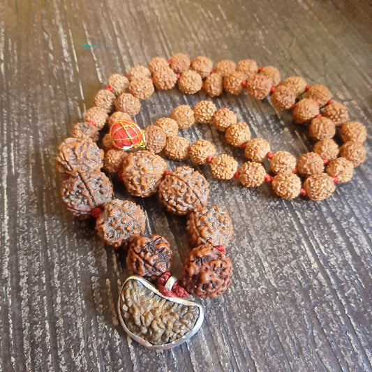 1 3 4 5 6 Mukhi Combination Rudraksha Mala