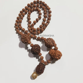 2 5 7 9 Mukhi Rudraksha Combination Mala