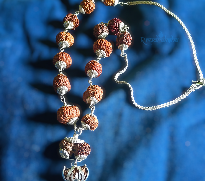 1-14 Mukhi Siddha Mala/Rudraksha Mala