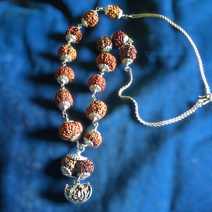 1-14 Mukhi Siddha Mala/Rudraksha Mala