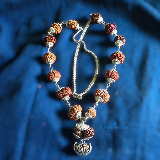 1-14 Mukhi Siddha Mala/Rudraksha Mala