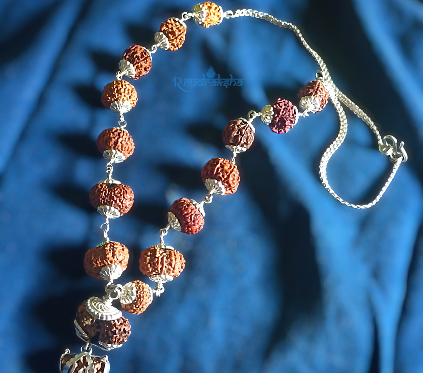 1-14 Mukhi Siddha Mala/Rudraksha Mala