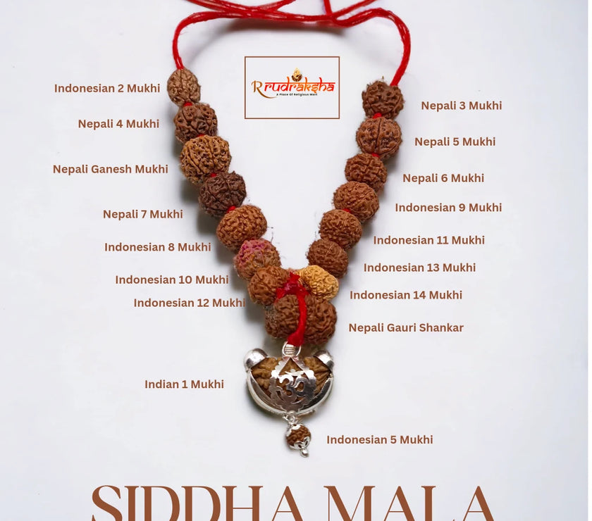 20231008_120154_0000