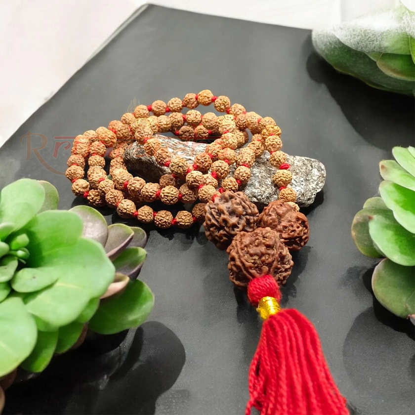 Goddess Lakshmi 7 Mukhi Rudraksha Mala / Nepali 7 Mukhi Rudraksha With 7 Mukhi Rudraksha Mala