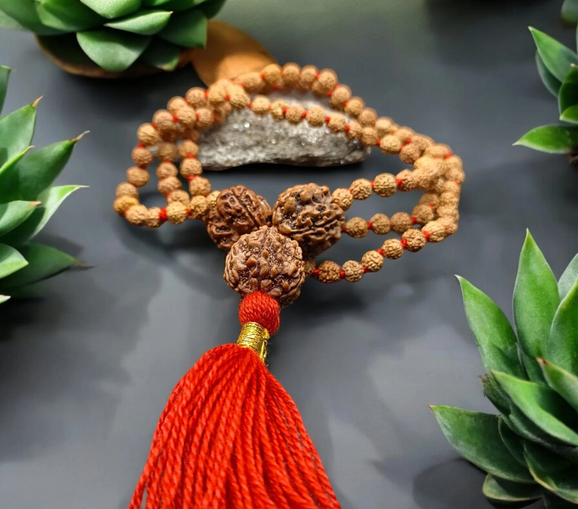 Goddess Lakshmi 7 Mukhi Rudraksha Mala / Nepali 7 Mukhi Rudraksha With 7 Mukhi Rudraksha Mala