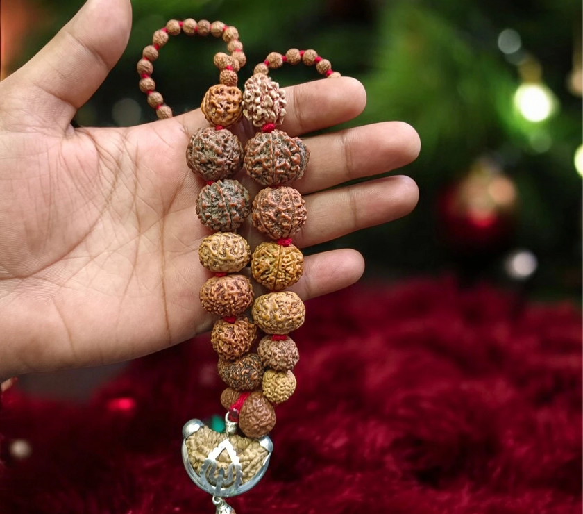 Original Siddha Mala / 1-14 Mukhi, Gauri Shankar and Ganesh Mukhi Rudraksha Mix Origin Beads Combination