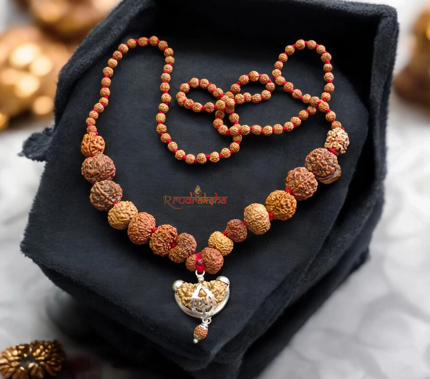 Original Siddha Mala / 1-14 Mukhi, Gauri Shankar and Ganesh Mukhi Rudraksha Mix Origin Beads Combination