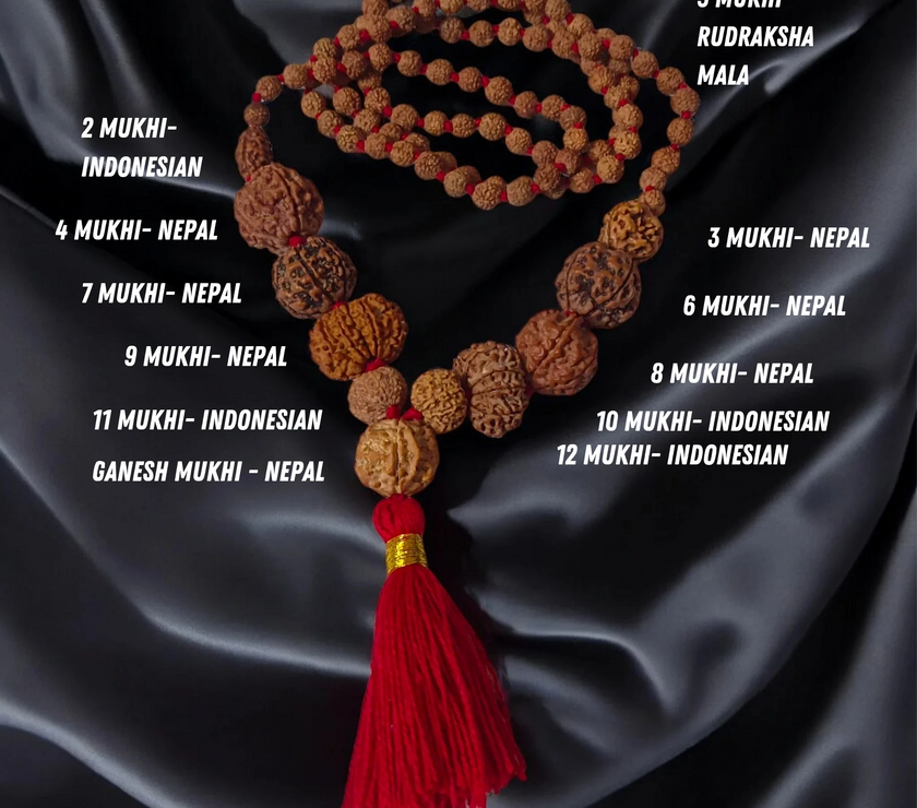 Kundalini Awakening Power Rudraksha Mala / 2 to 12 + Ganesh Mukhi Mala