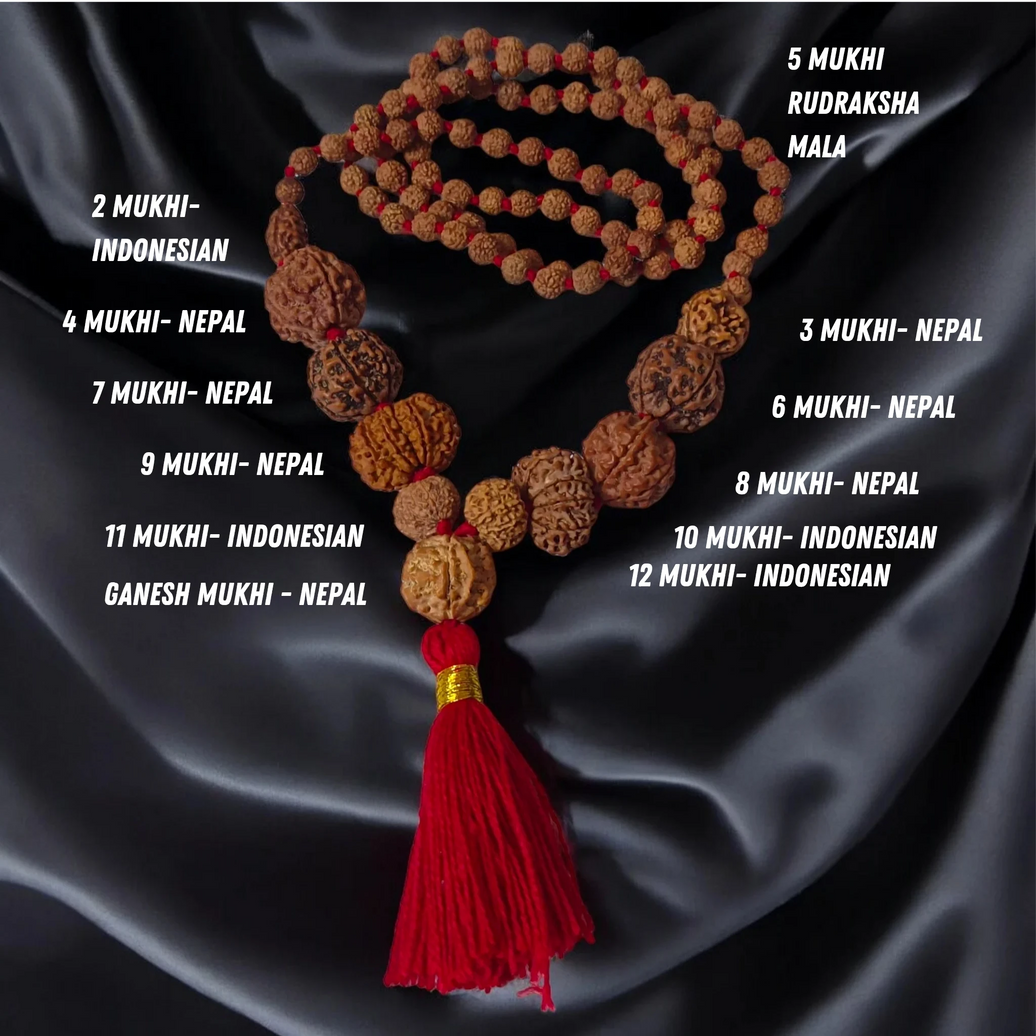 Kundalini Awakening Power Rudraksha Mala / 2 to 12 + Ganesh Mukhi Mala