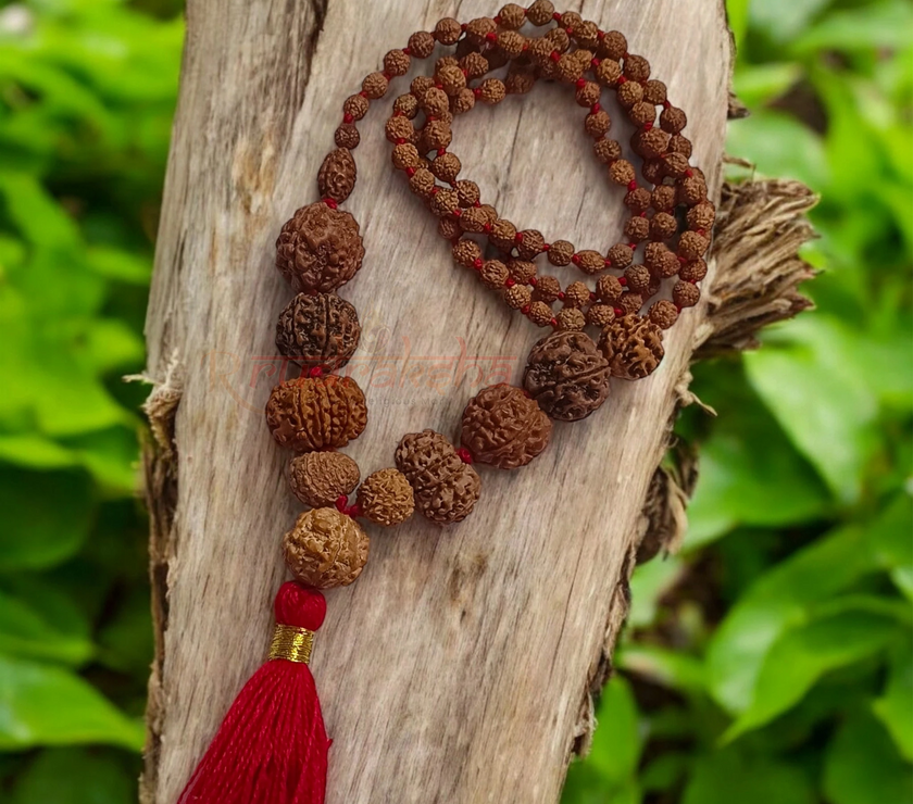 Kundalini Awakening Power Rudraksha Mala / 2 to 12 + Ganesh Mukhi Mala