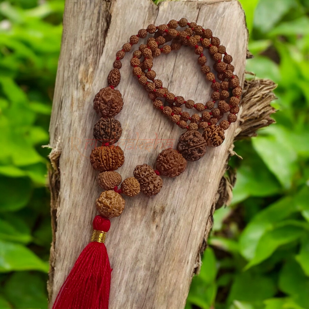 Kundalini Awakening Power Rudraksha Mala / 2 to 12 + Ganesh Mukhi Mala