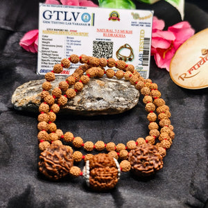 Lab Tested Authentic product with 7 and 8 Mukhi rudraksha combination Mala with citrine quartz pendant for 