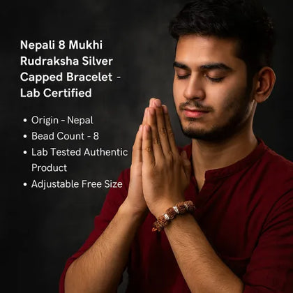 Information about 8 kMukhi Rudraksha Bracelet silver capped lab Certified 