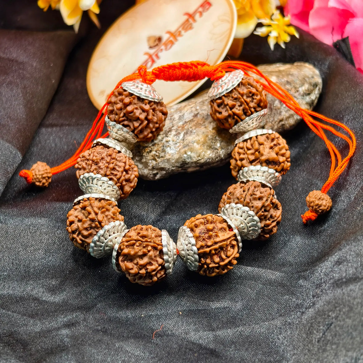 Silver Capped 8 kMukhi Rudraksha Bracelet for daily wearing 