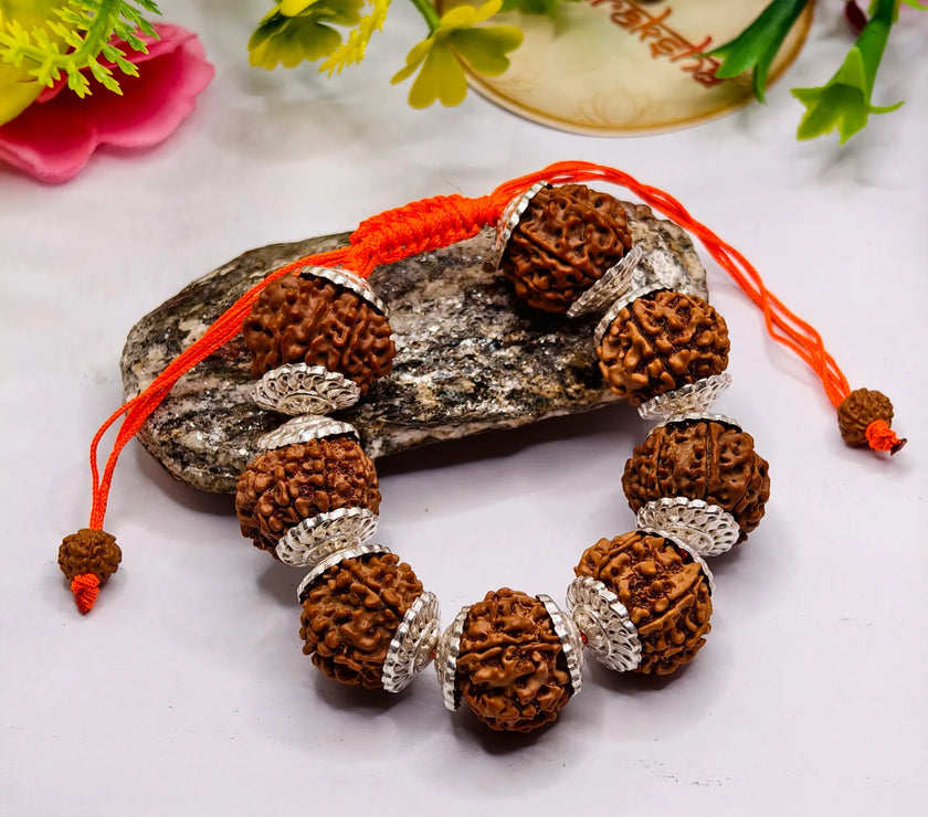 A lab Certified 8 kMukhi Rudraksha Bracelet 
