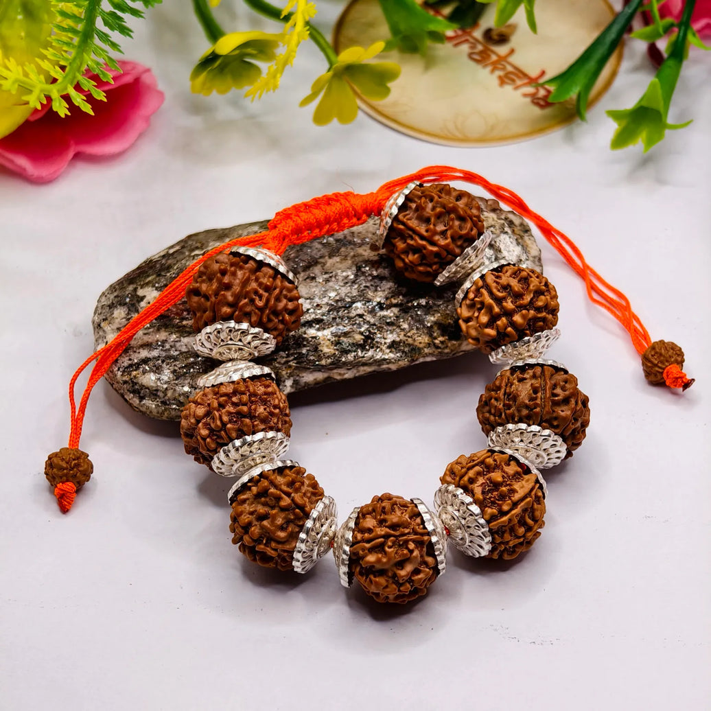 A lab Certified 8 kMukhi Rudraksha Bracelet 