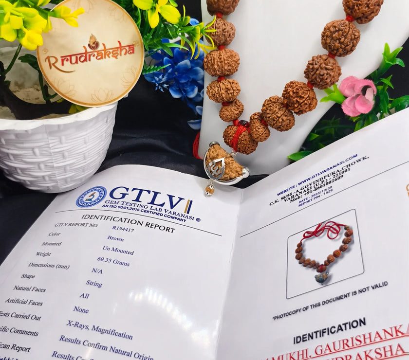 Buy original siddha Mala, original siddha Mala ke fayde, genuine siddha Mala 