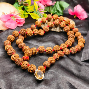 Lab Tested 7 and 8 Mukhi rudraksha mala with citrine Pendant for Overcome Negativity and gain financial stability 