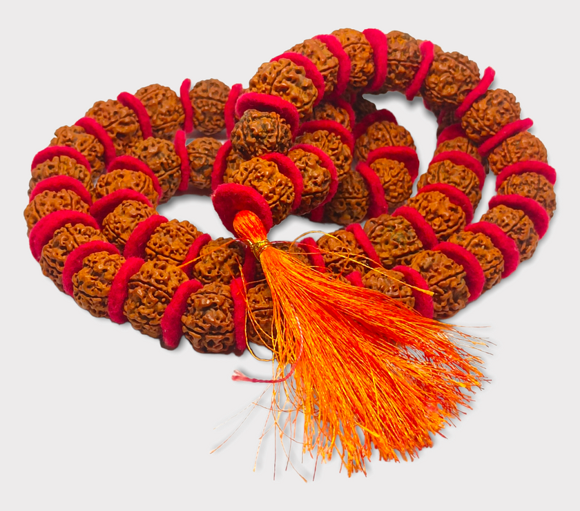 Nepali 4 Mukhi Rudraksha Kantha Lab Certified