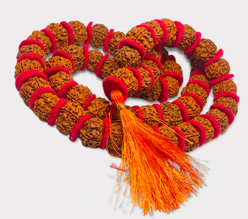 Nepali 5 Mukhi Rudraksha Kantha Mala Lab Certified