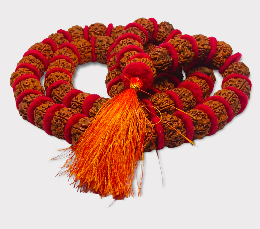 Nepali 5 Mukhi Rudraksha Kantha Mala Lab Certified
