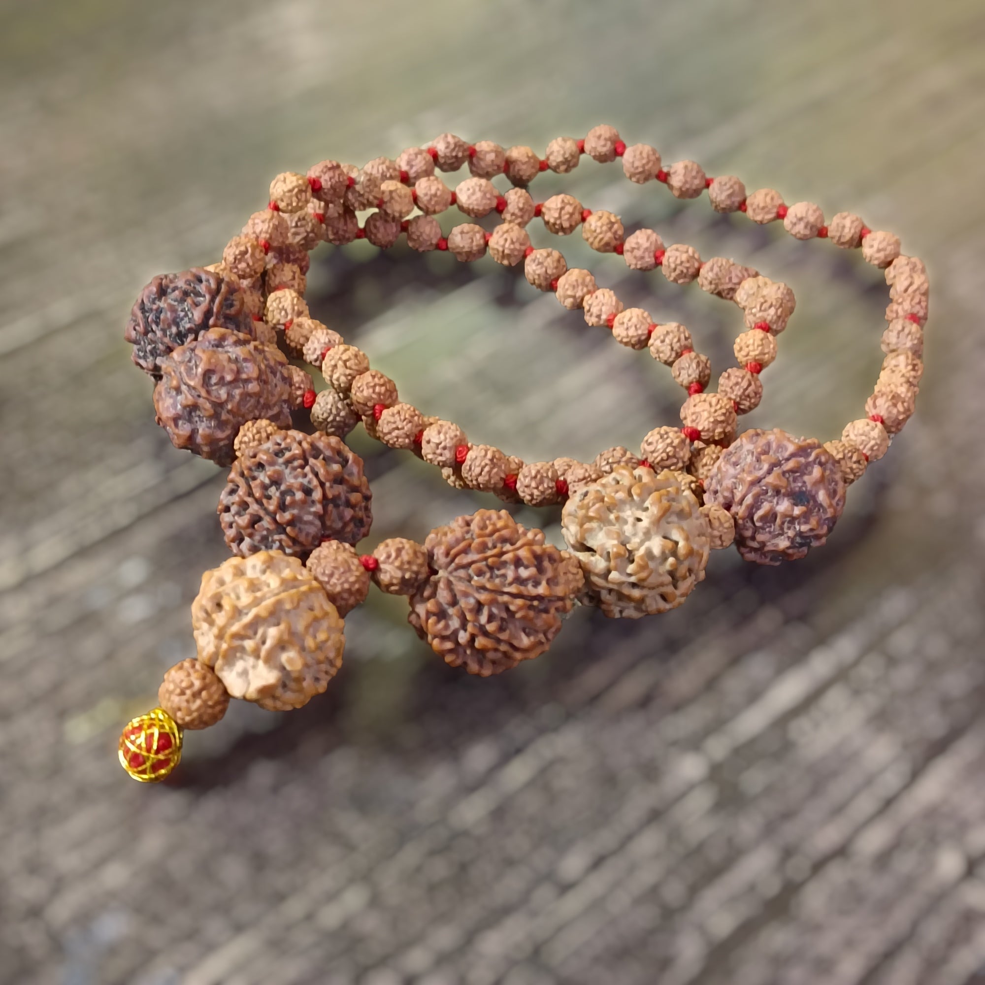 4 5 6 7 8 9 and Ganesha Rudraksha Combination for Multiple Benefits