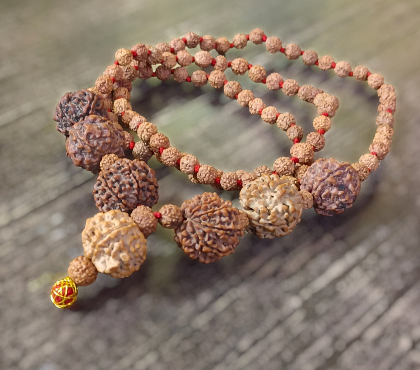4 5 6 7 8 9 and Ganesha Rudraksha Combination for Multiple Benefits