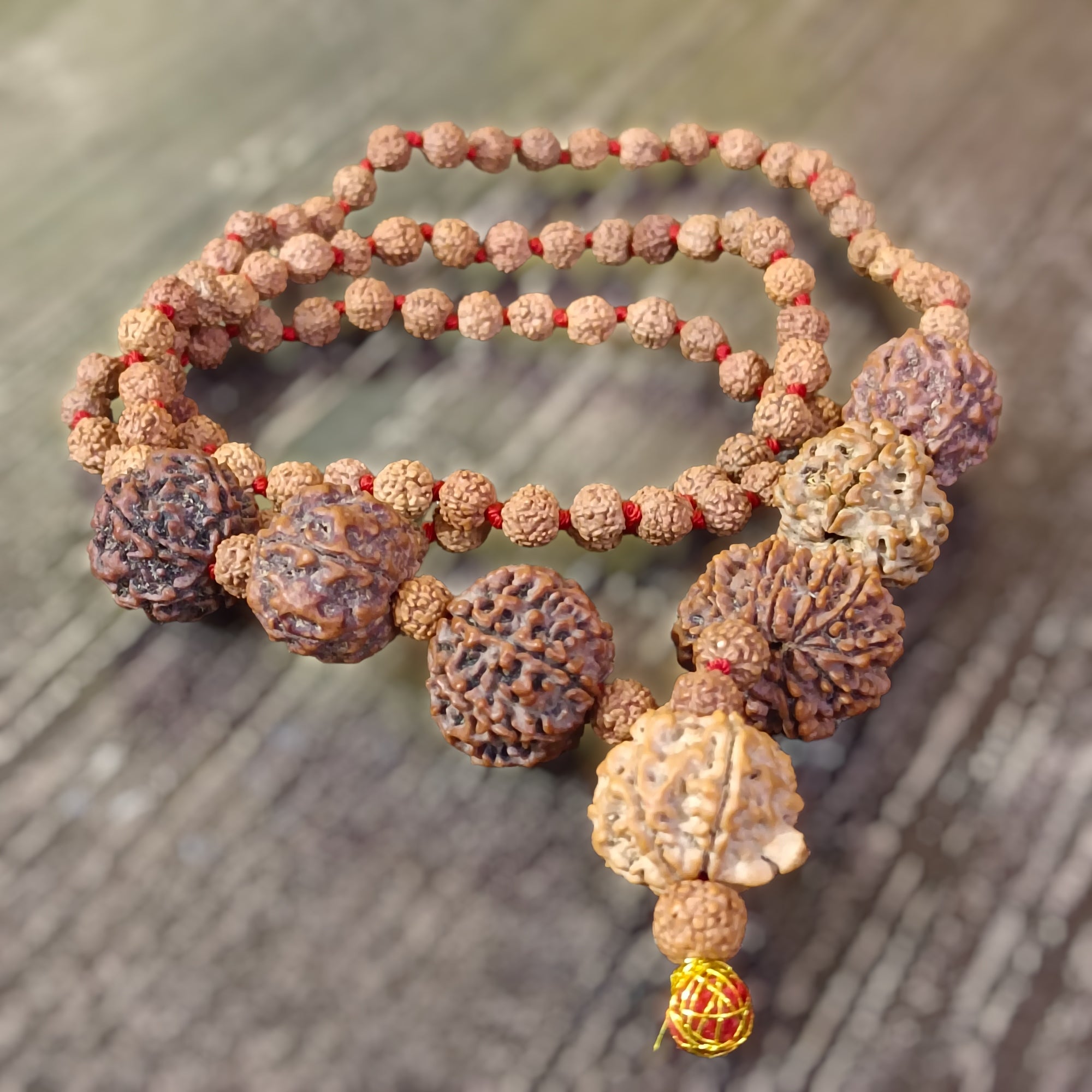 4 5 6 7 8 9 and Ganesha Rudraksha Combination for Multiple Benefits