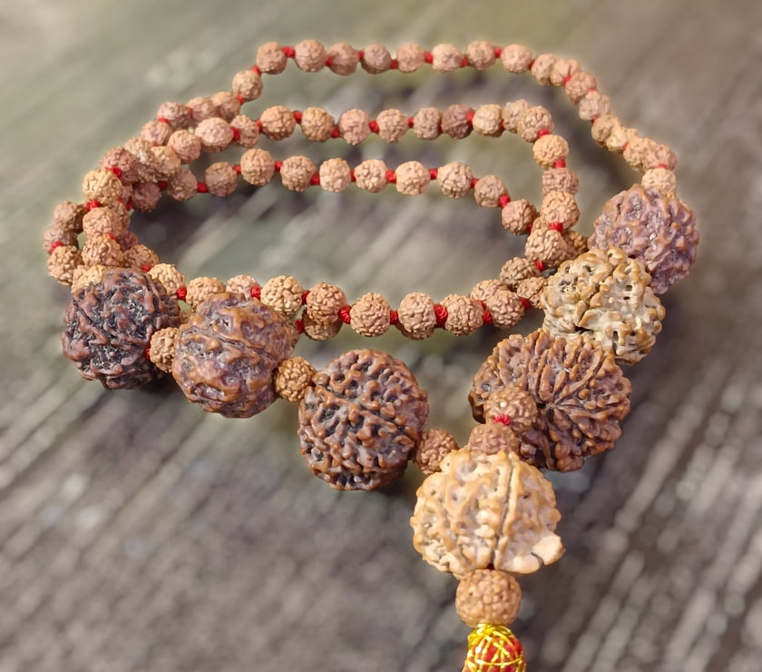 4 5 6 7 8 9 and Ganesha Rudraksha Combination for Multiple Benefits