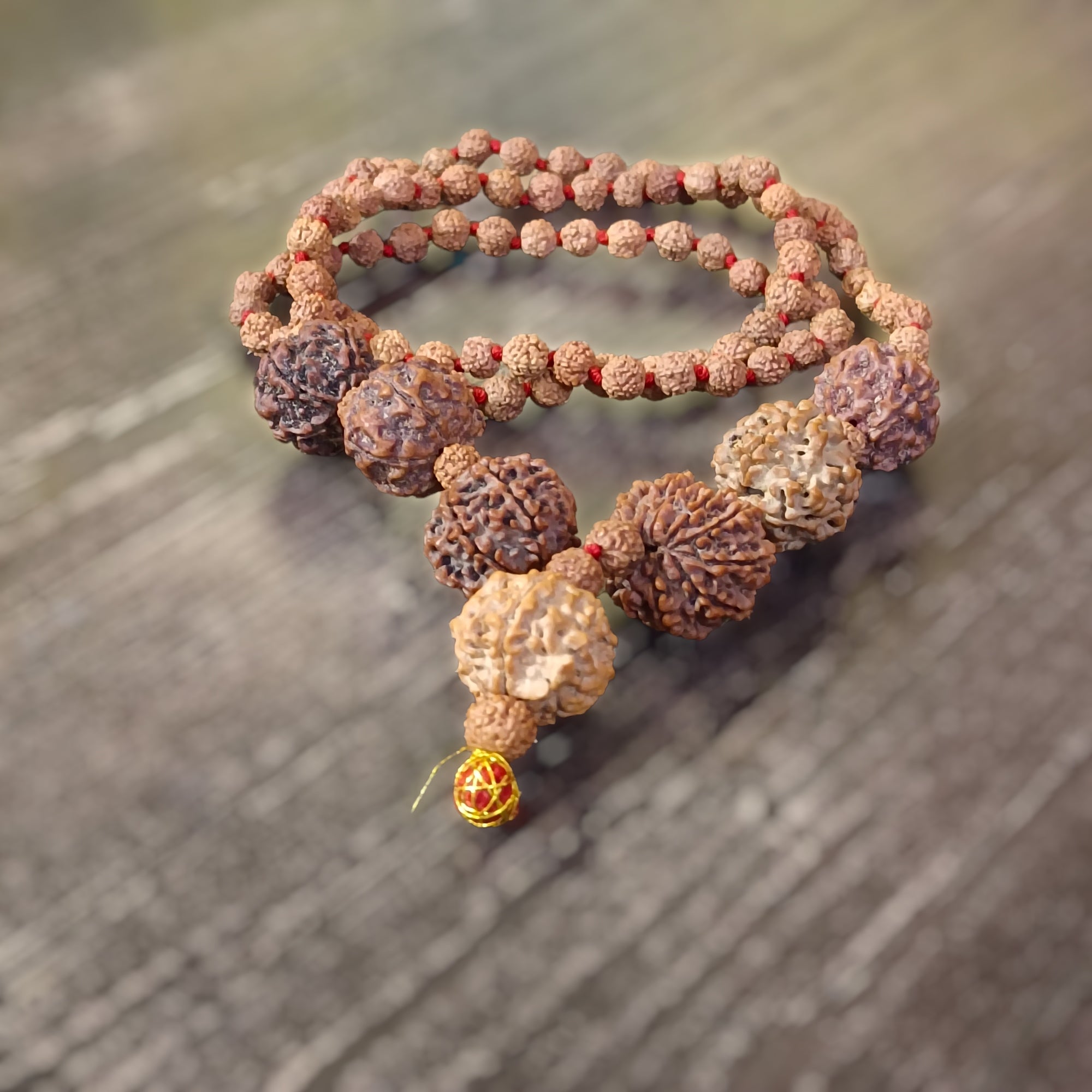 4 5 6 7 8 9 and Ganesha Rudraksha Combination for Multiple Benefits