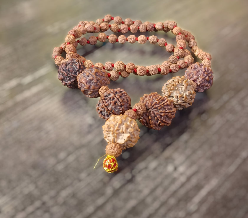 4 5 6 7 8 9 and Ganesha Rudraksha Combination for Multiple Benefits