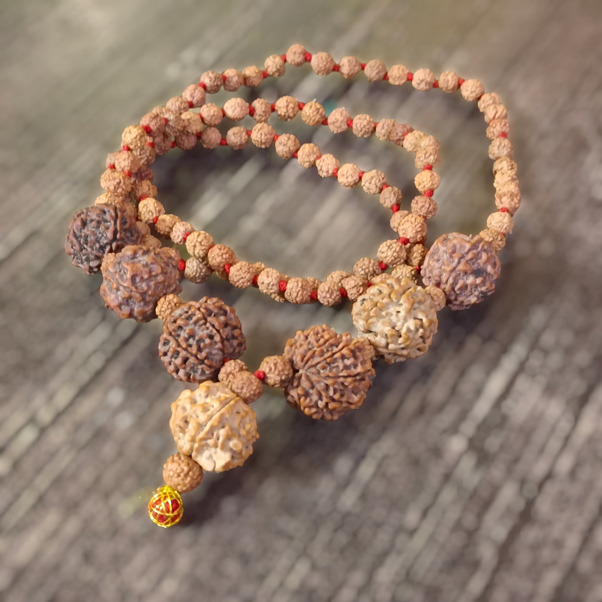 4 5 6 7 8 9 and Ganesha Rudraksha Combination for Multiple Benefits