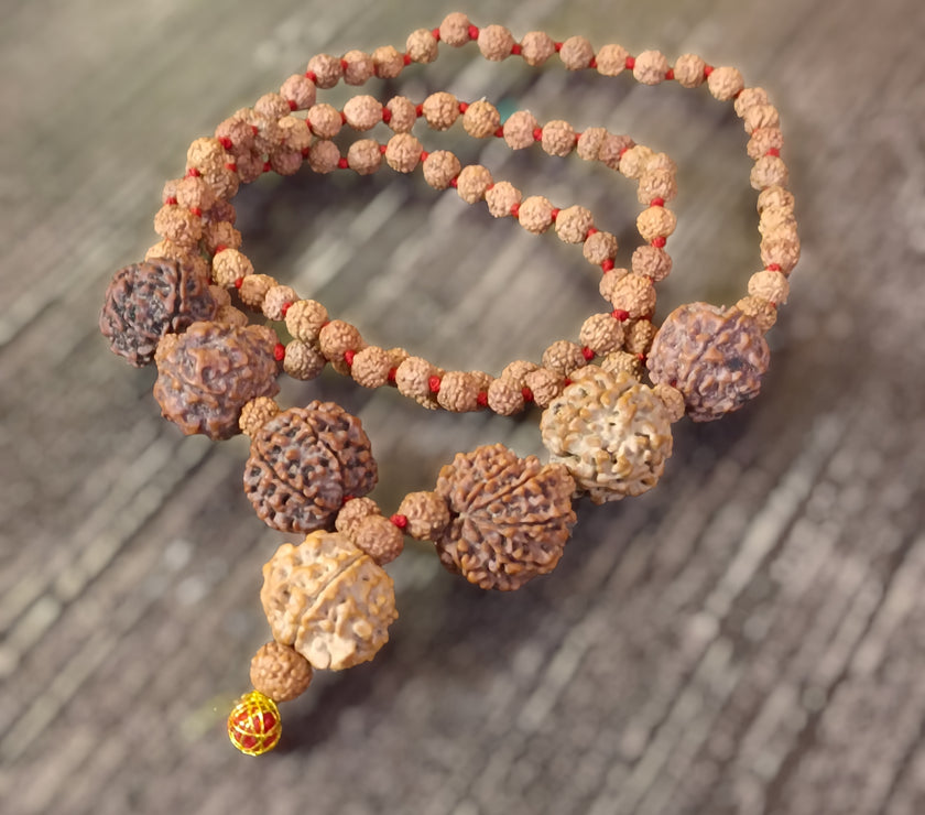 4 5 6 7 8 9 and Ganesha Rudraksha Combination for Multiple Benefits
