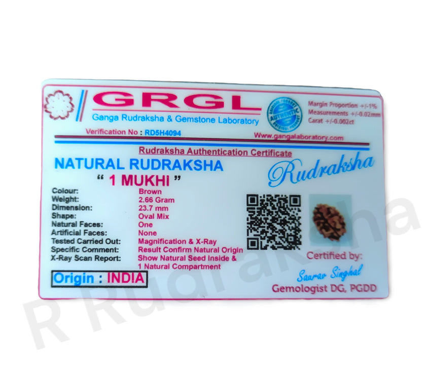 Compress_20221113_171614_4979