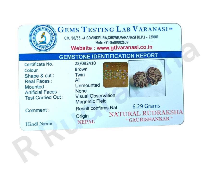 Nepali Gauri Shankar Rudraksha Lab Certified