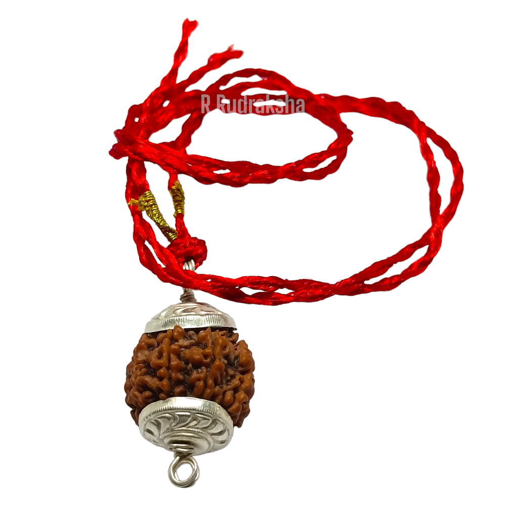 Nepali 4 Mukhi Rudraksha Lab Certified