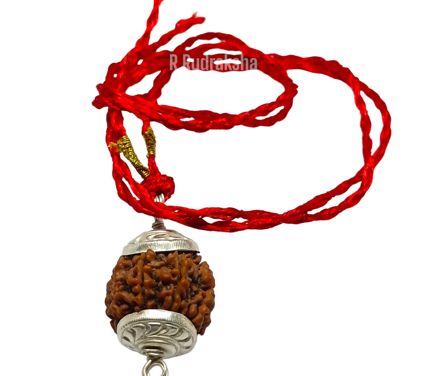 Nepali 4 Mukhi Rudraksha Lab Certified