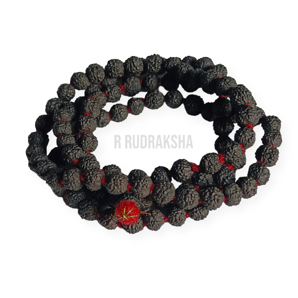 Lab Certified Black 5 Mukhi Rudraksha Mala