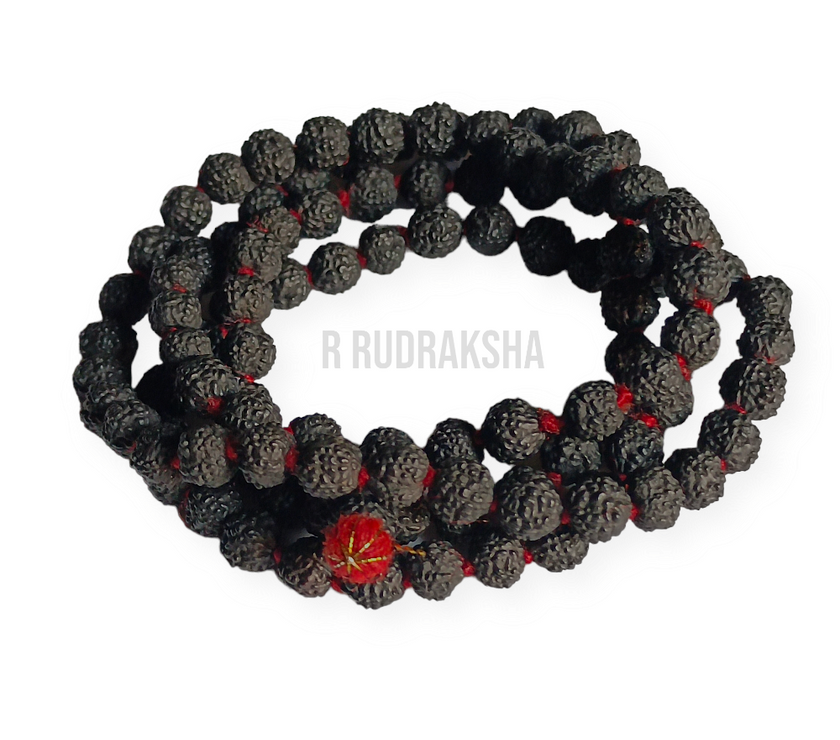 Lab Certified Black 5 Mukhi Rudraksha Mala