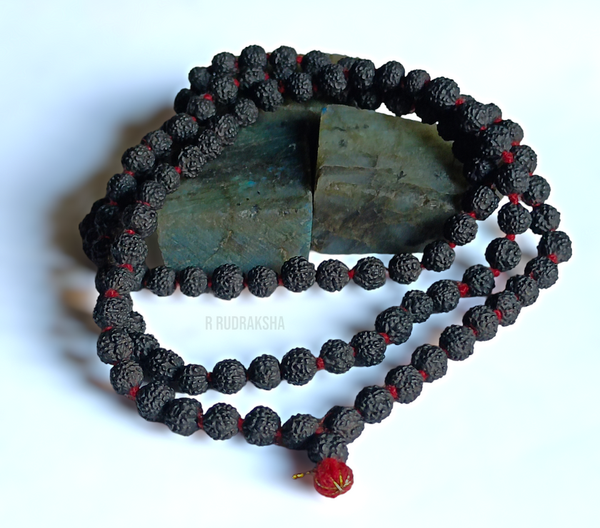 Lab Certified Black 5 Mukhi Rudraksha Mala