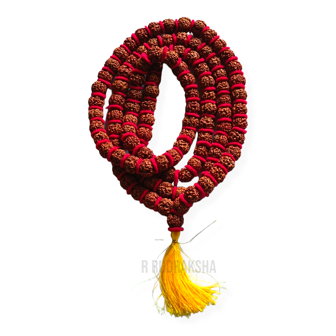 Nepali 5 Mukhi Rudraksha Kantha Mala Lab Certified