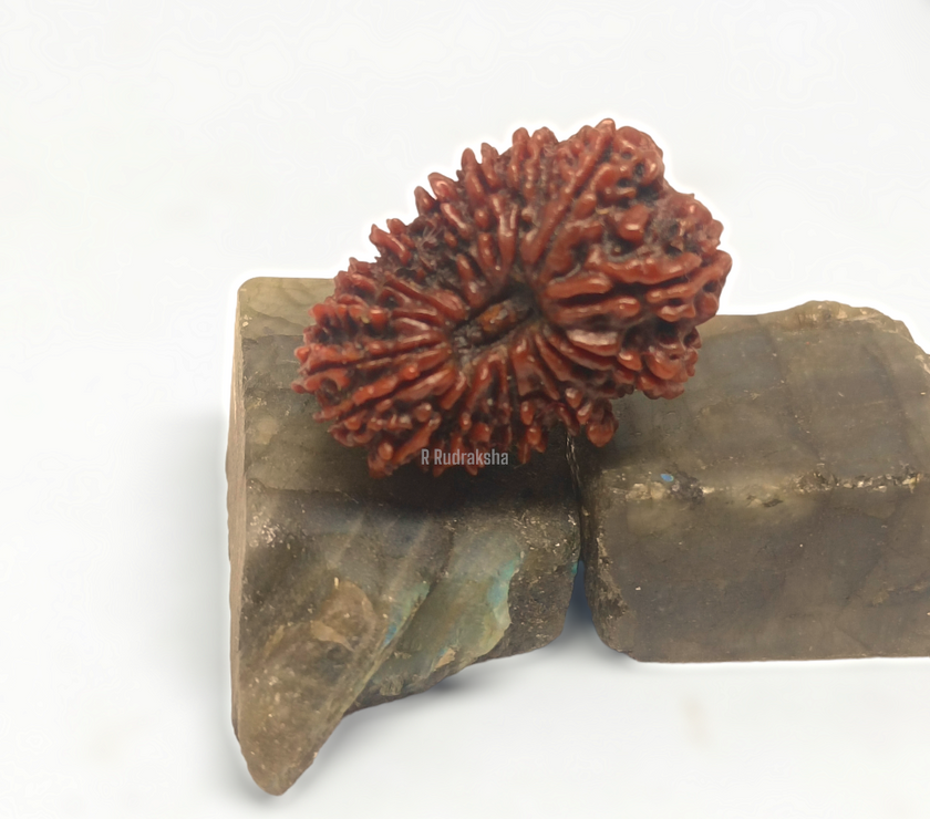 Compress_20221202_142345_5854