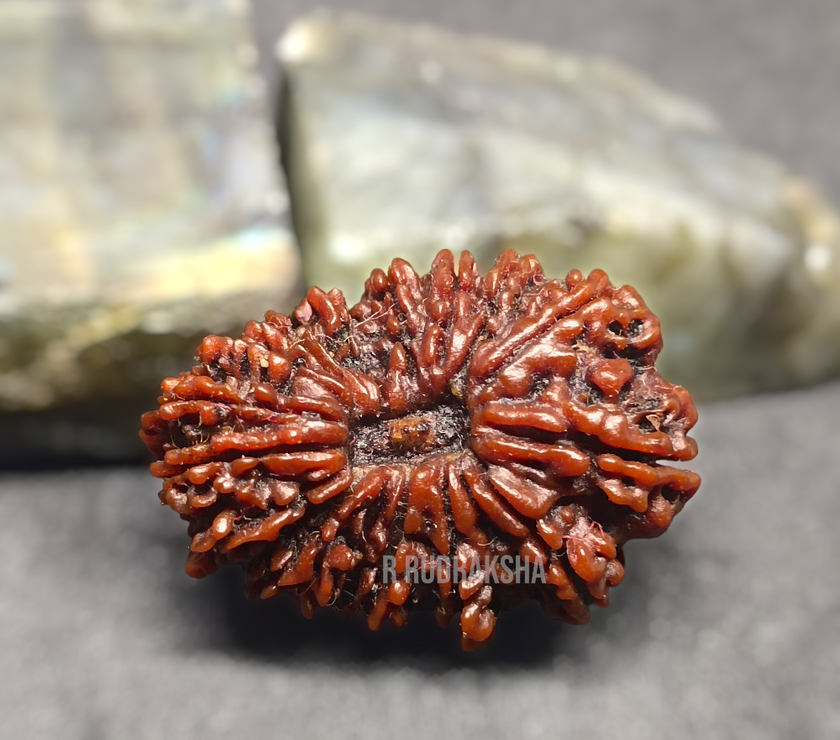 Compress_20221202_142346_6659