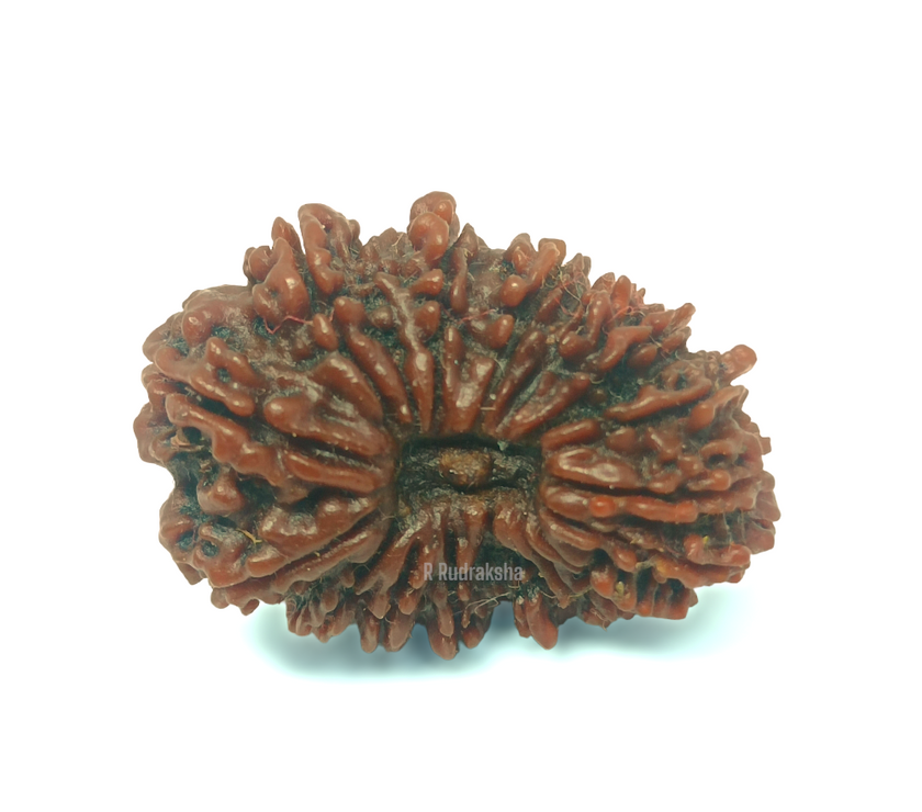 Compress_20221202_142347_7169